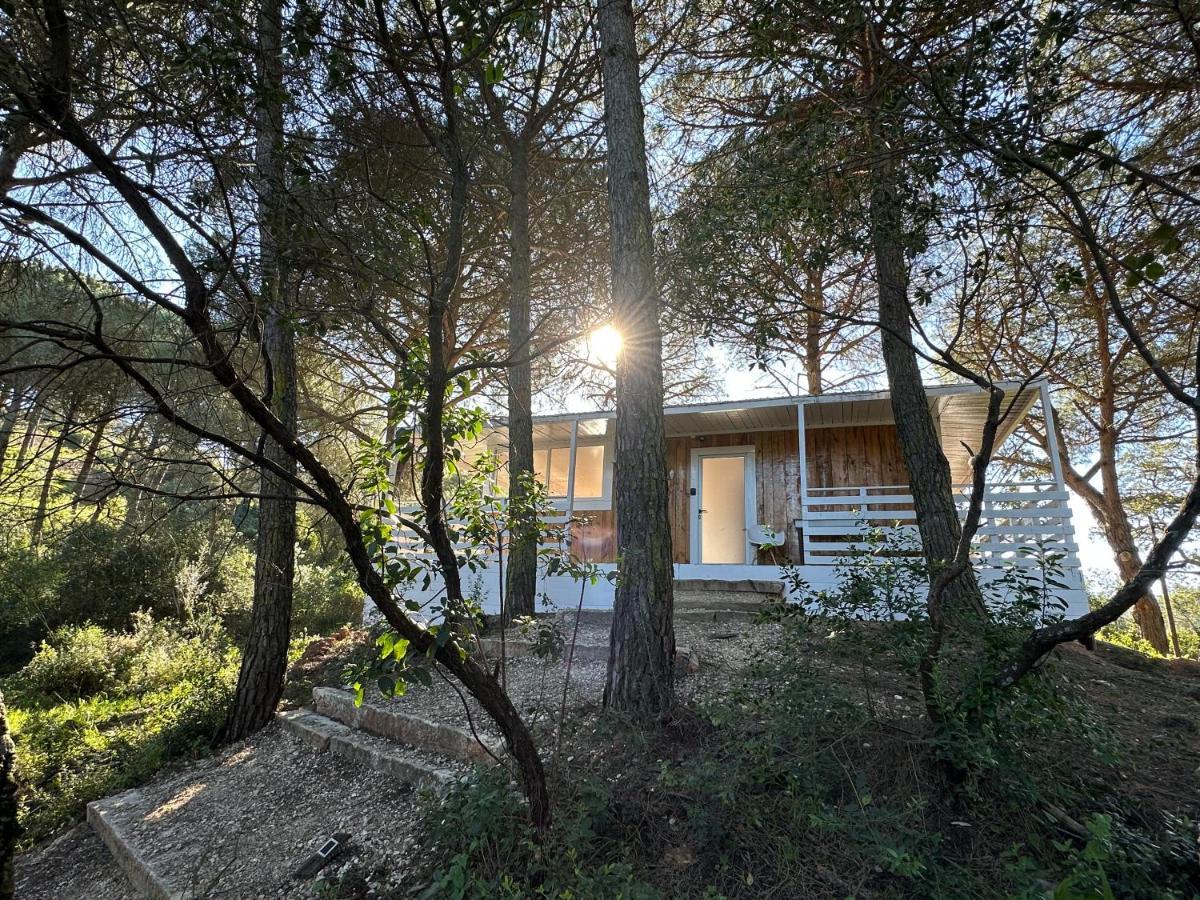 FALCOARIA Eco Lodge Setúbal Exterior foto