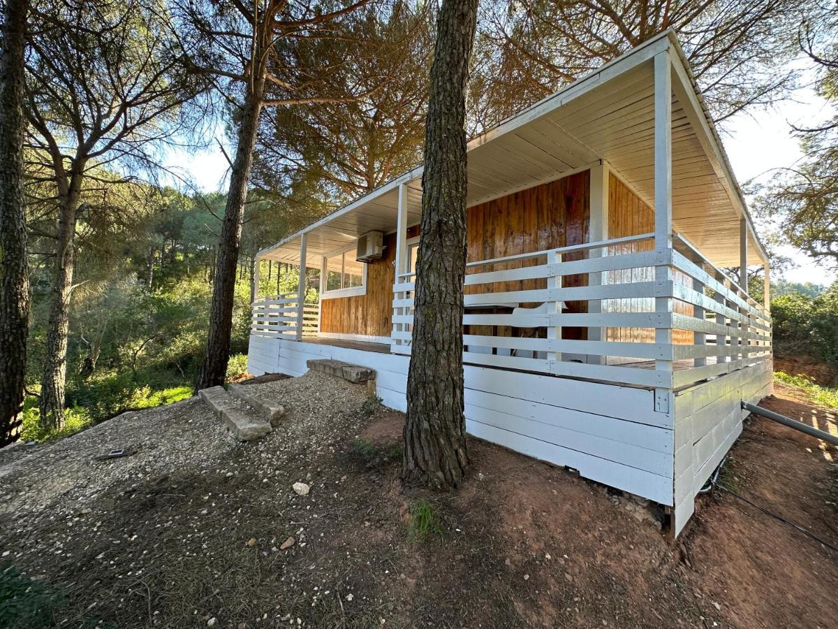 FALCOARIA Eco Lodge Setúbal Exterior foto